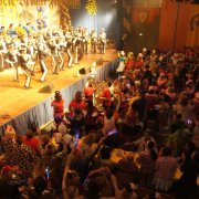 KG Fidele Bröhler Falkenjäger (11.02.12)